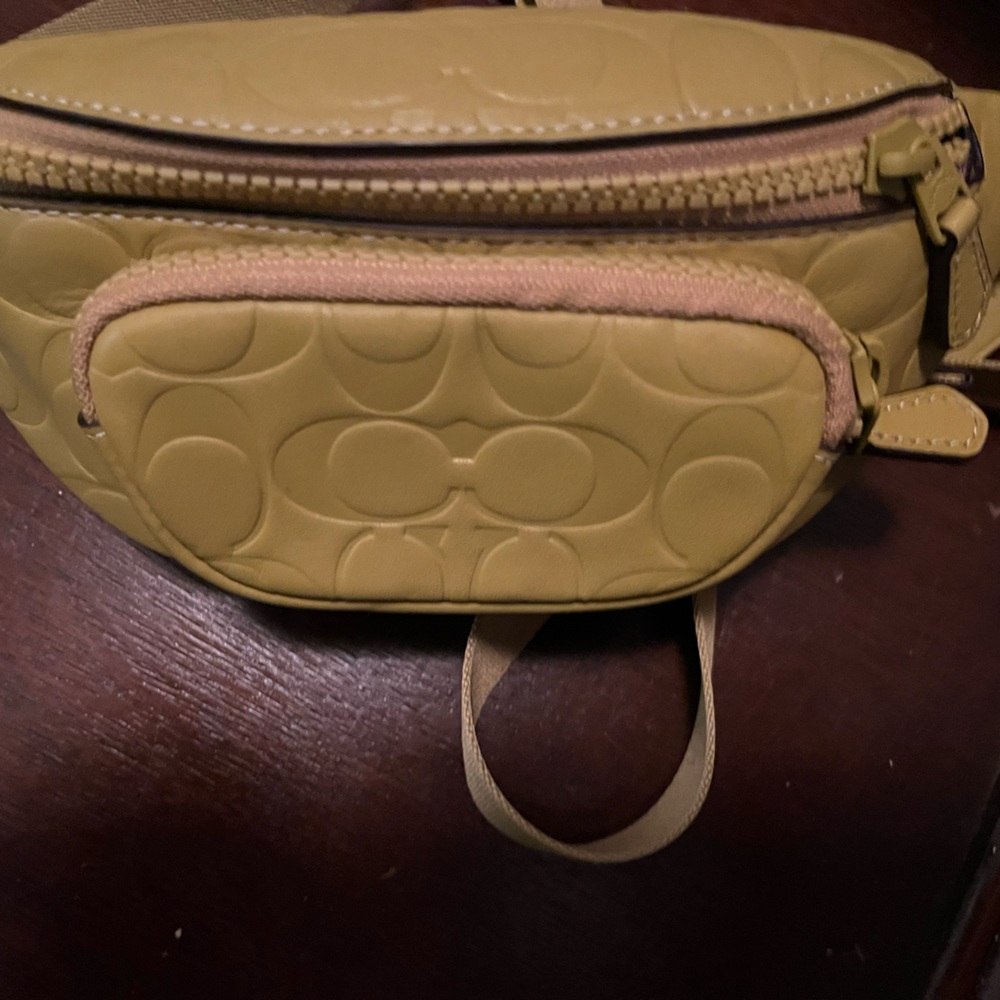 Coach bum bag